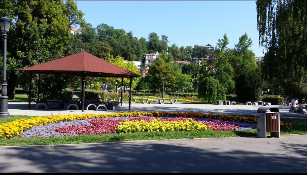 Camere In Regim Hotelier Braşov Exteriör bild